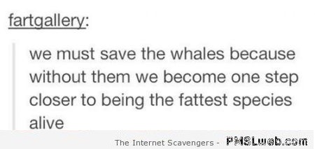 We must save the whales funny comment at PMSLweb.com