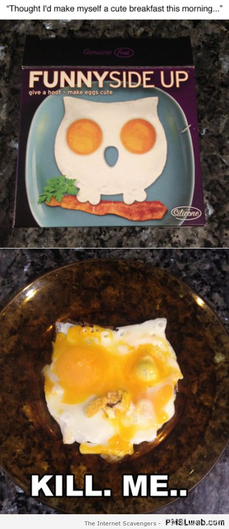 Funny owl eggs shape fail at PMSLweb.com