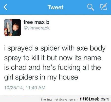 I sprayed a spider with Axe body spray at PMSLweb.com