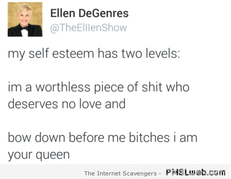 My self esteem has 2 levels funny quote at PMSLweb.com