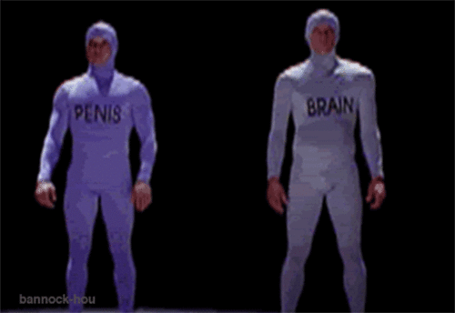 Funny penis versus brain animated at PMSLweb.com