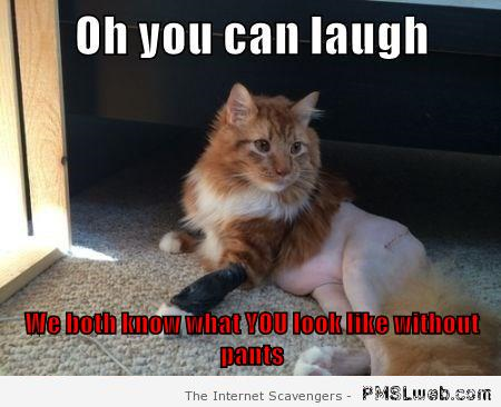 Don’t laugh at me cat meme at PMSLweb.com