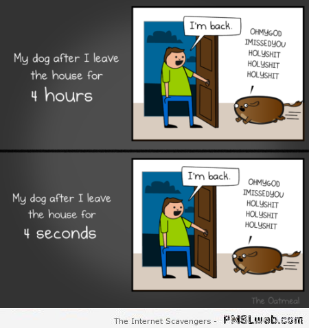 Funny dog logic cartoon at PMSLweb.com