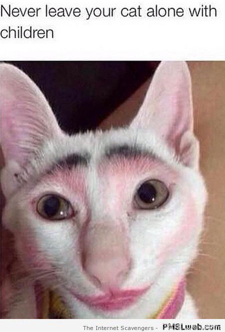 Funny cat with makeup at PMSLweb.com