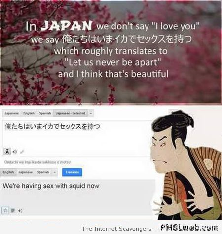Funny Japanese translation fail at PMSLweb.com