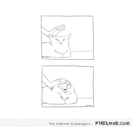 Funny petting the cat cartoon at PMSLweb.com