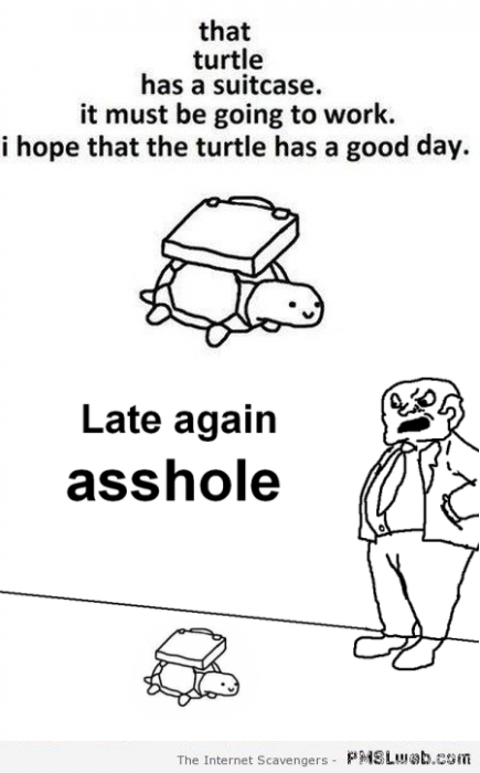 Turtle has a suitcase humor