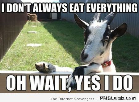 I don’t always eat everything goat meme at PMSLweb.com