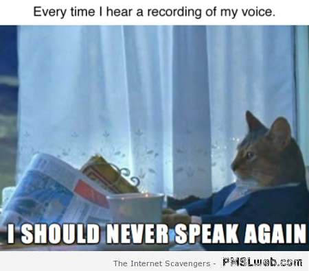 Every time I hear my voice meme at PMSLweb.com