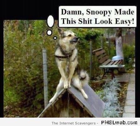 Funny dog imitating snoopy at PMSLweb.com