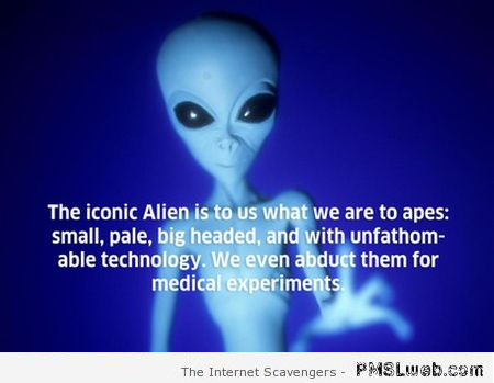 We are to apes what aliens are to us at PMSLweb.com