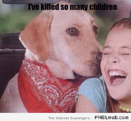 Funny psycho dog at PMSLweb.com