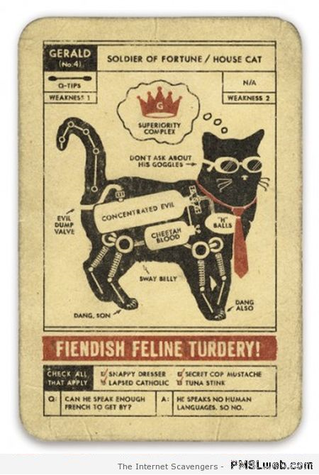 Funny cat game card at PMSLweb.com