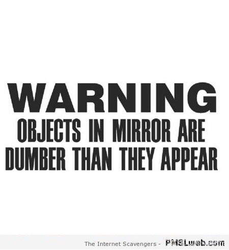 Objects in mirror are dumber than they appear at PMSLweb.com