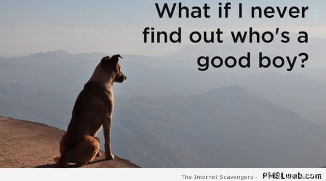 What if I never find out who’s a good boy – Funny Sunday pics at PMSLweb.com