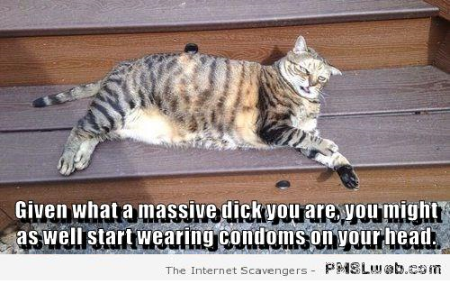 You’re such a dick meme – Humorous pictures at PMSLweb.com