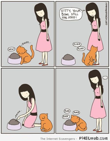 Funny cats and food logic at PMSLweb.com
