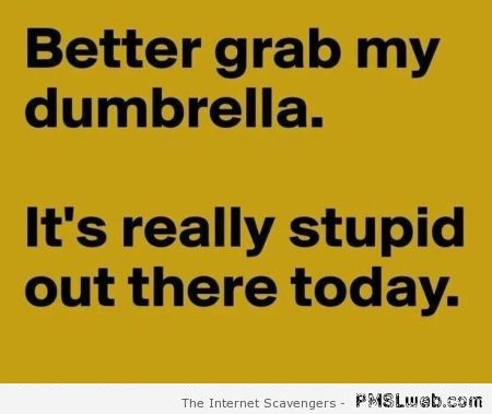 Better grab my dumbrella quote – Funny sarcastic pictures at PMSLweb.com