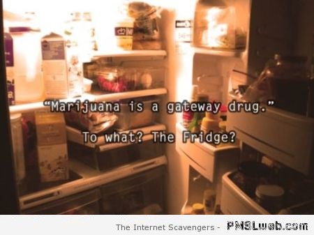 Marijuana is a gateway drug funny quote – Foolish Sunday at PMSLweb.com