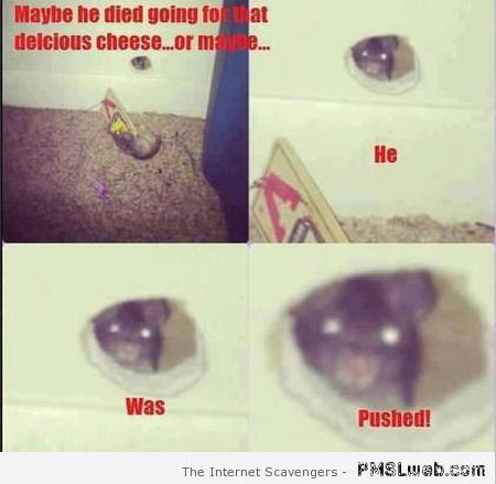 Funny killer mouse at PMSLweb.com