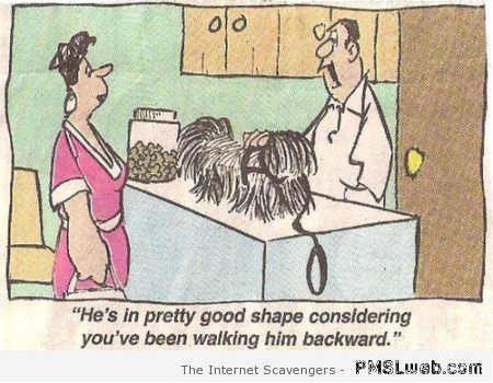 Funny walking the dog backward cartoon at PMSLweb.com