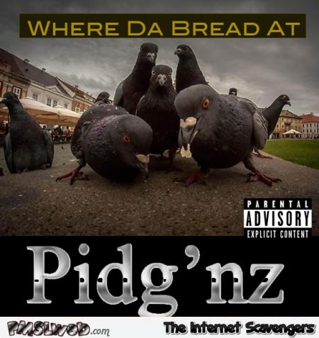 Funny pigeon rap album – Hump  day hilarity at PMSLweb.com