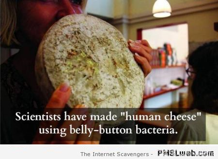 Human cheese made with belly-button bacteria at PMSLweb.com