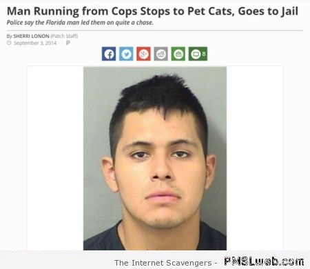 Man running from cops stops to pet cats funny news at PMSLweb.com
