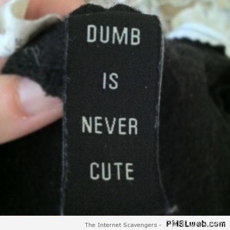 Dumb is never cute quote at PMSLweb.com