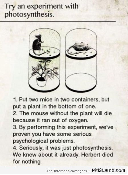 Photosynthesis humor at PMSLweb.com