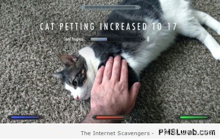 Cat petting increased humor at PMSLweb.com
