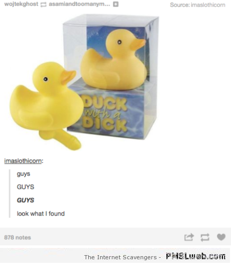 Duck with dick humor