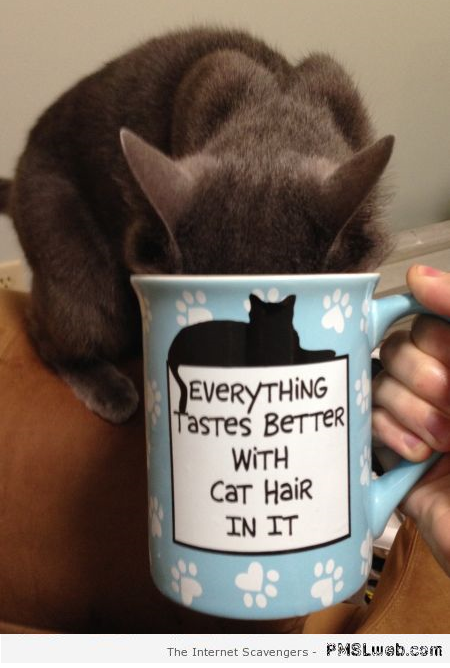 Everything tastes better with cat hair in it mug at PMSLweb.com