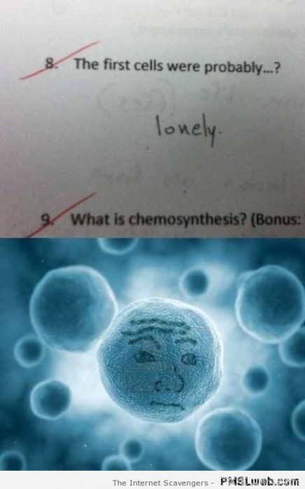 The first cells were probably lonely humor