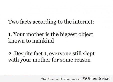 Funny internet facts about your mum at PMSLweb.com