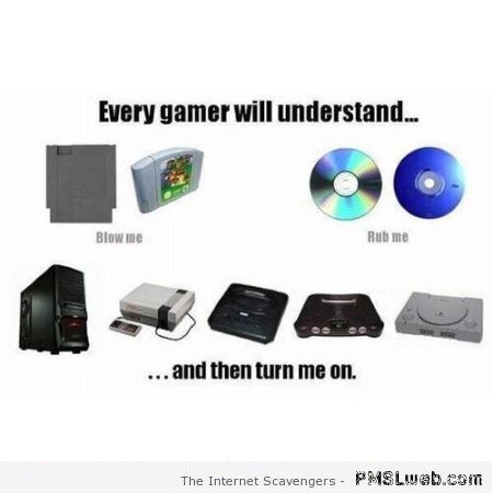 Every gamer will understand humor at PMSLweb.com