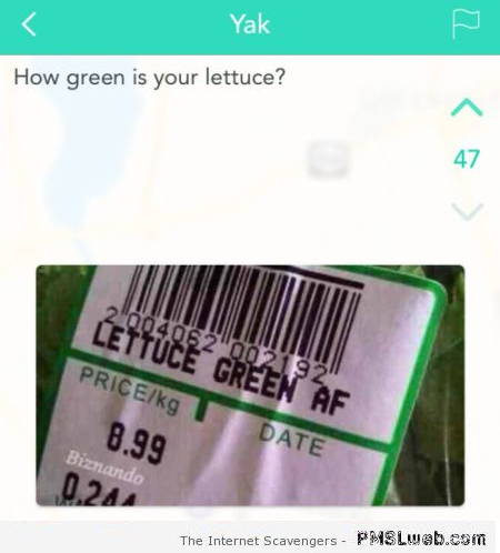 Funny how green is your lettuce at PMSLweb.com