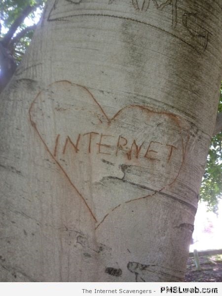 I love you internet tree carving at PMSLweb.com