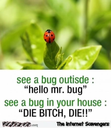 Funny bug outside versus bug inside