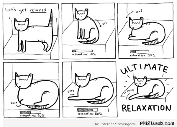 Funny ultimate cat relaxation cartoon at PMSLweb.com