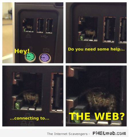 Spider helps you connect to the web humor at PMSLweb.com