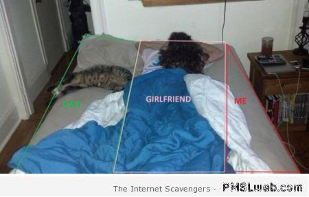 Girlfriend cat and me bed sides humor at PMSLweb.com