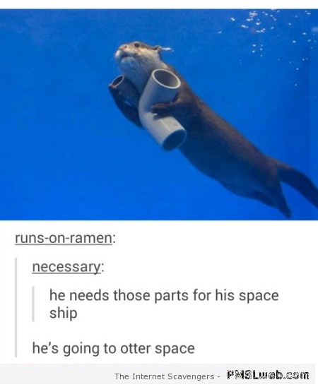 Funny Otter space comment at PMSLweb.com