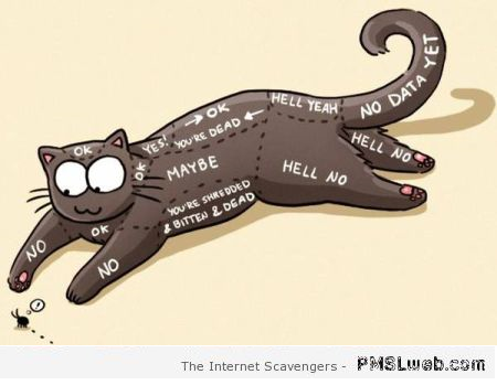 Funny cat petting chart – Monday guffaws at PMSLweb.com