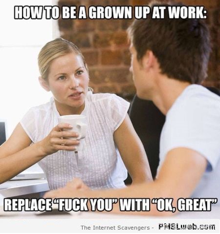 How to grow up at work meme at PMSLweb.com