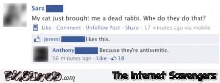 Cats are anti-Semitic funny comment at PMSLweb.com