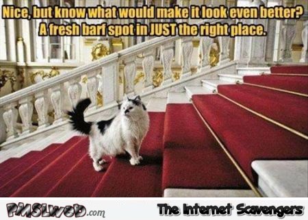 Funny wealthy cat meme at PMSLweb.com