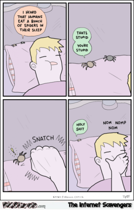 Eating spiders in your sleep funny cartoon