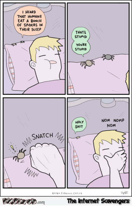 Eating spiders in your sleep funny cartoon at PMSLweb.com