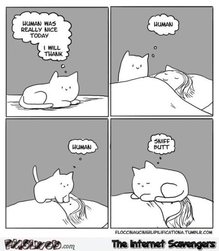Sniff my butt funny cat cartoon – Funny pictures at PMSLweb.com